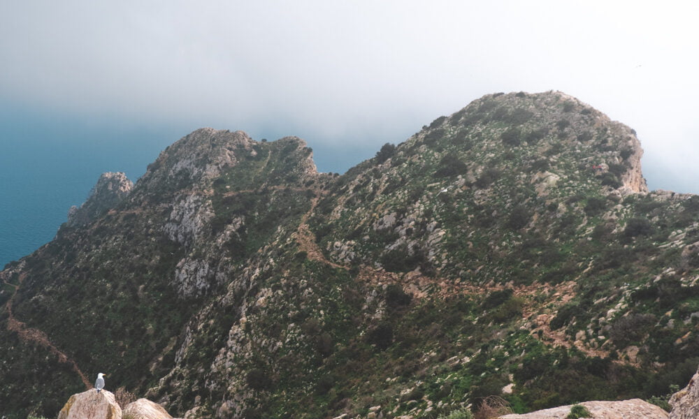 rock at top expert hike penyal d'ifach