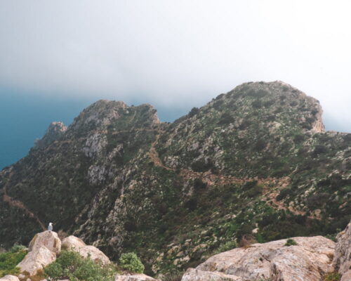 Calpe, Expert wandeling in het prachtige natuurreservaat