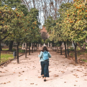 Fruitbomen Barcelona