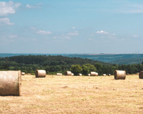 campagne