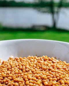 quick Lentils Side Dish