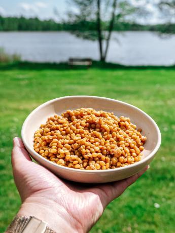 quick Lentil side dish with lake view