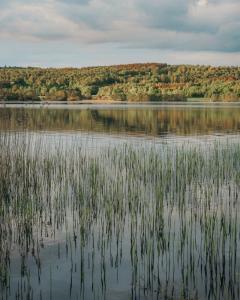 Wild Camping Zweden 