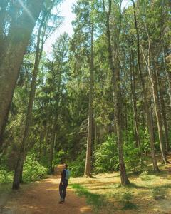 Beautiful trees around Torups Slott