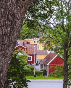 Sigtuna houses