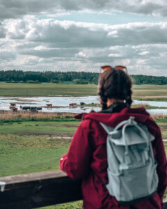 Nature reserve Sweden