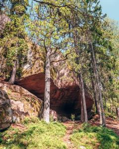 South Sweden Nature