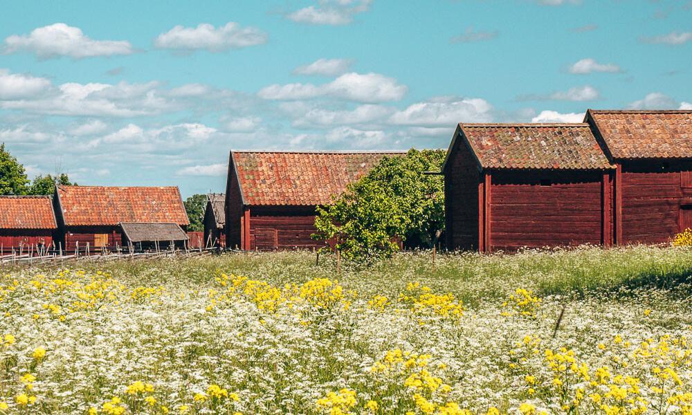 Gamla Uppsala