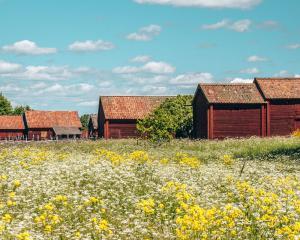 Gamla Uppsala