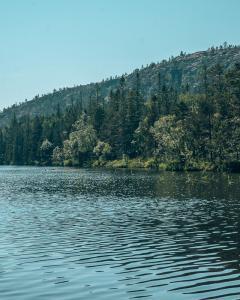 nationaal park meer skuleskogen