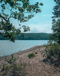 Strand skuleskogen nationaal park