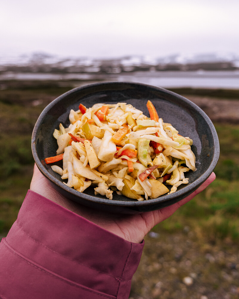 Coleslaw Vegan And Simple Side-dish For On The Road