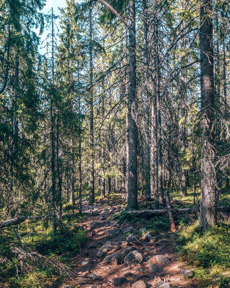 Skuleberget Hike, Outstanding Views Of The Naturum Höga Kusten