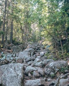 grottstigen skuleberget wandeling