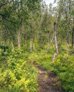 hiking path norway