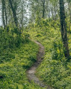 hiking path bredekrunden