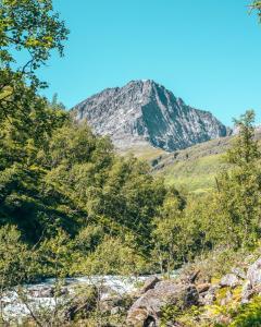 Steindalsbreen-wandeling 