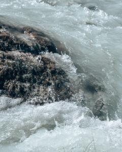 water dat in de rivier stroomt 