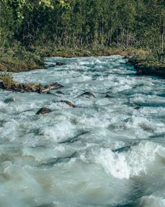 close-up water in de rivier