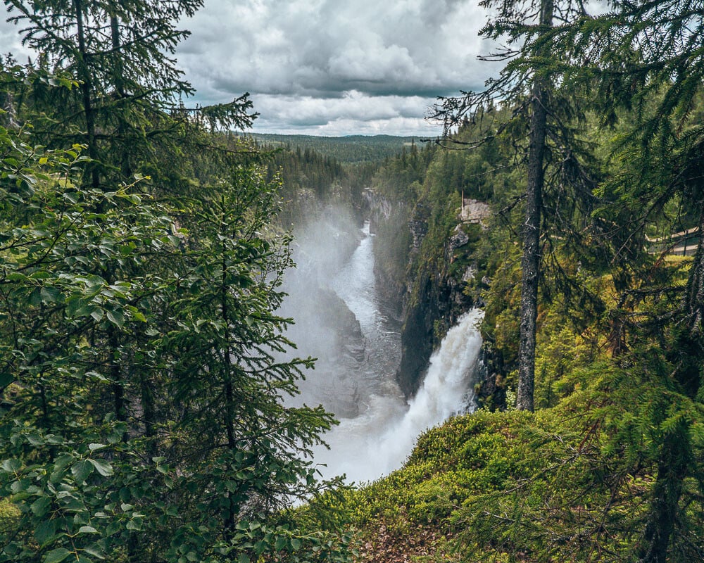 Vildmarksvägen, dit is de unieke wildernis route van Zweden