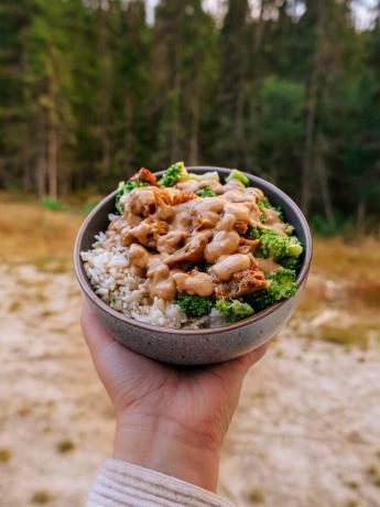 Peanut dressing rice bowl with trees in background