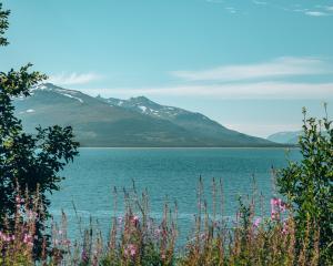 uitzicht op de lyngen alpen