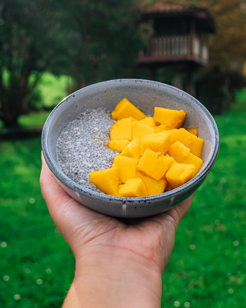 How to make mango chia pudding yourself