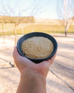 easy vegan parmesan