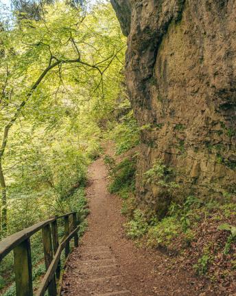 Buchenlochhöhle-wandeling