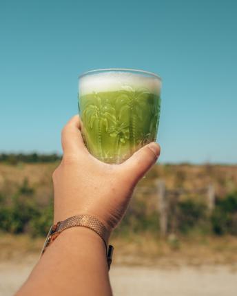 homemade iced matcha latte in palm tree glass 