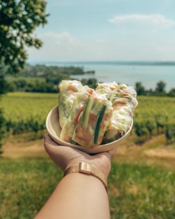 vegan springrolls with tofu with the bodensee in the background