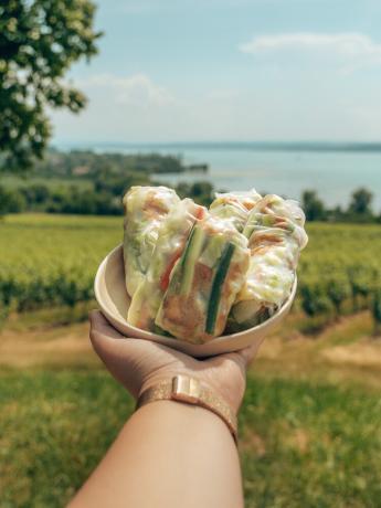 vegan springrolls with tofu with the bodensee in the background
