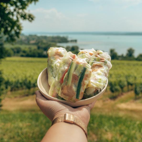 vegan springrolls with tofu with the bodensee in the background