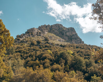 Monte Fumai in het Gennargentu Nationaal Park met bomen op de voorgrond en rotsen op de top.