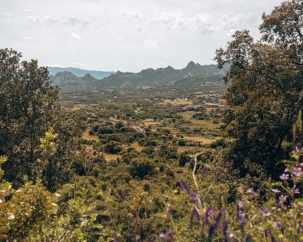 Beeautiful lush forest of inland Sardinia. Perfect to explore with the motorhome. 