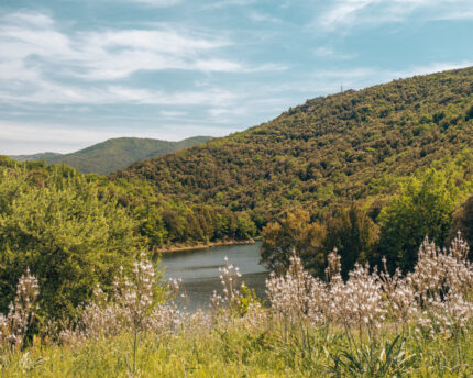 Beautiful lake and forest in Sardinia. 